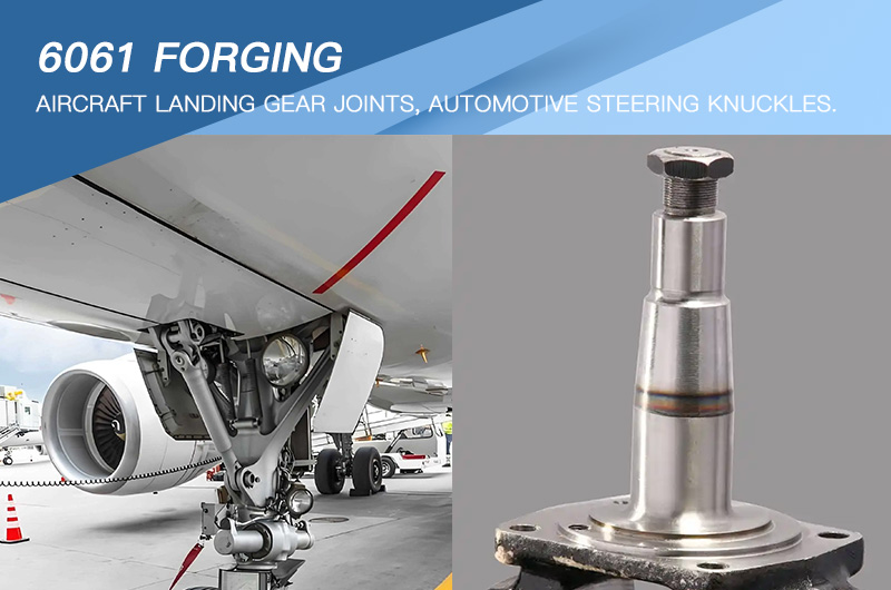 6061 Forging